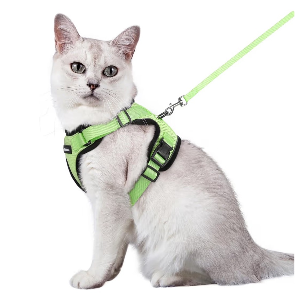 NWT Light Green Cat Harness and Leash Set